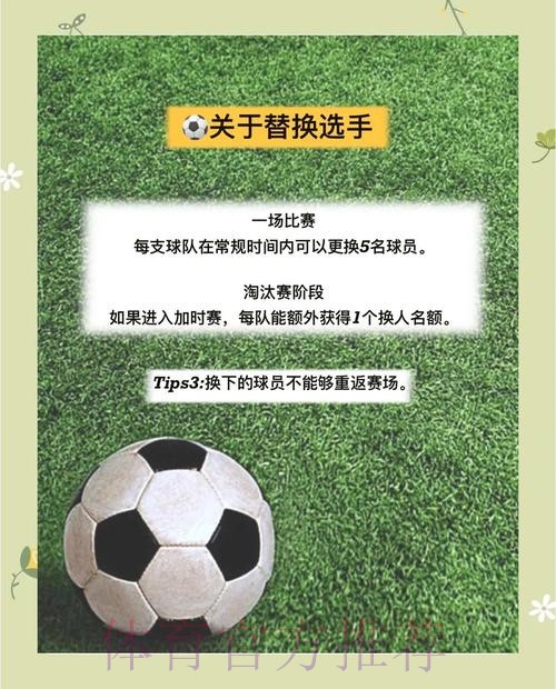 权威解读：世界杯滚球教程全方位解析
